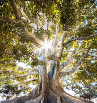 jeremy-bishop-EwKXn5CapA4-unsplash